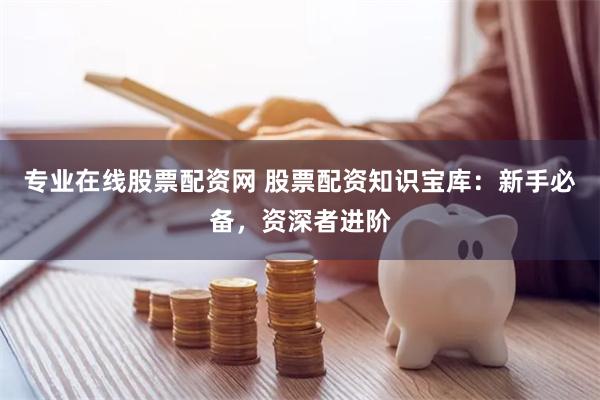 专业在线股票配资网 股票配资知识宝库：新手必备，资深者进阶